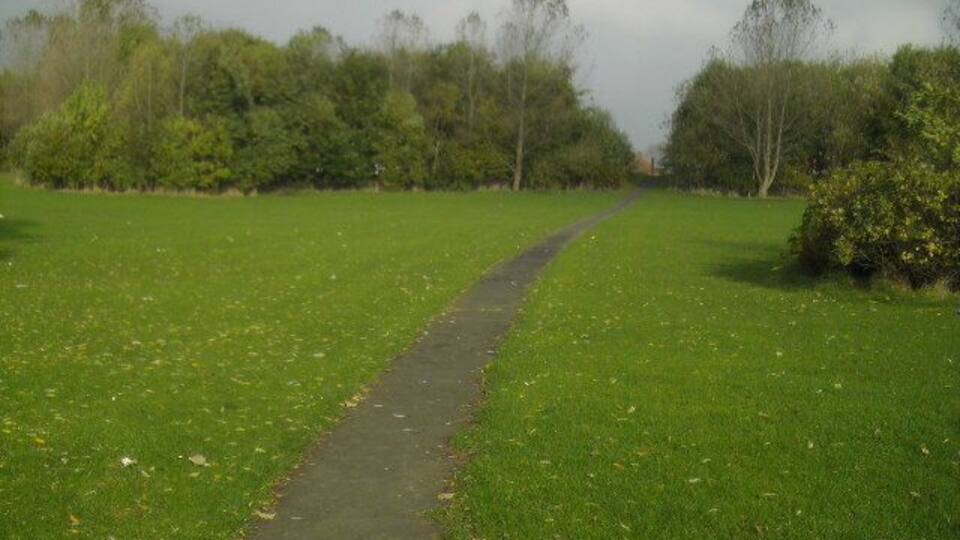 Een smal pad door een begrazend veld met bomen aan beide kanten.