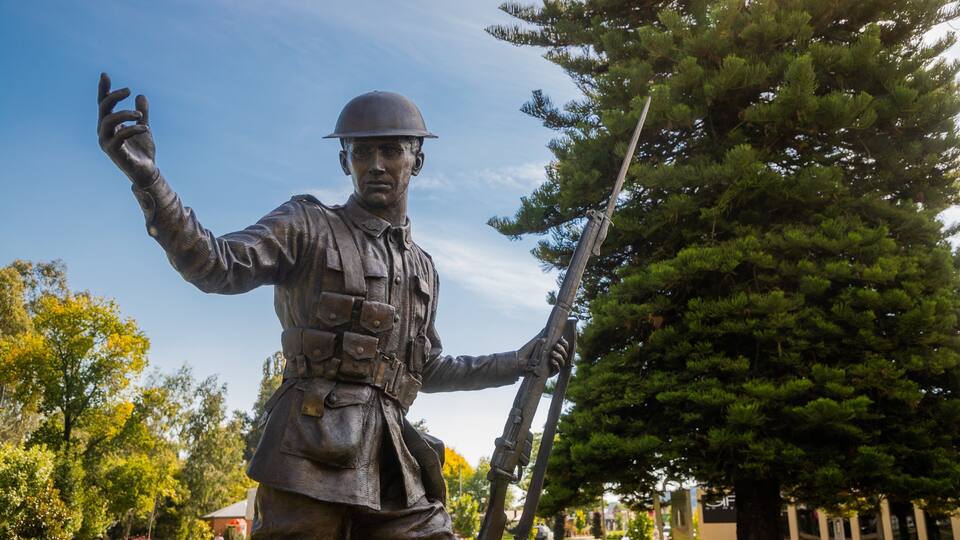 A statue of a soldier with a rifle, wearing a helmet and a uniform, standing in a park with trees and a clear sky in the background.