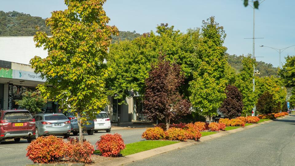 A street lined with trees and shrubs, parked cars, and a building with a sign.