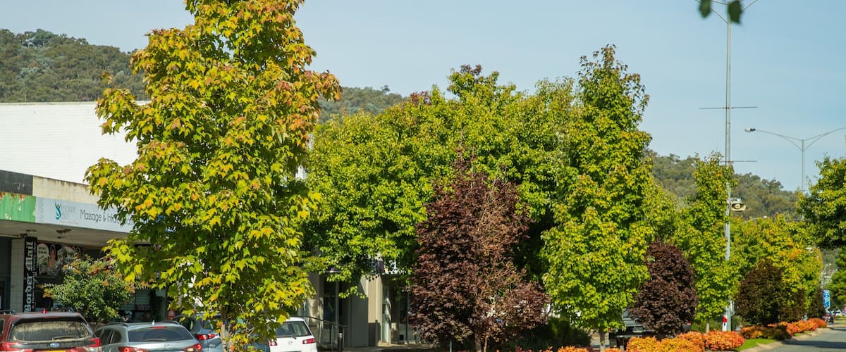 A street lined with trees and shrubs, parked cars, and a building with a sign.