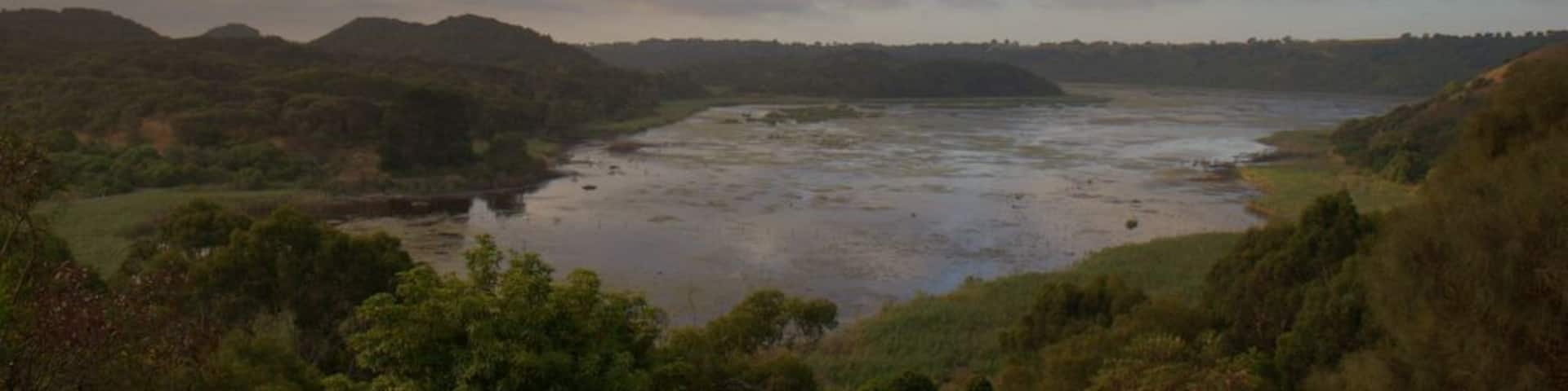 Tucked away in a crater along the Great Ocean Road in Victoria, Australia, Tower Hill has lots of free-roaming wallabies, koalas, kangaroos and emus! #Green