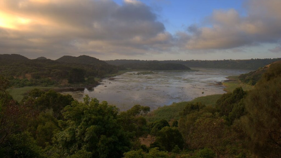 Tucked away in a crater along the Great Ocean Road in Victoria, Australia, Tower Hill has lots of free-roaming wallabies, koalas, kangaroos and emus! #Green