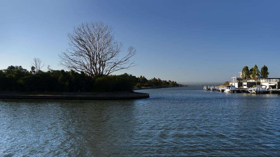 A river with a dock and boats, a leafless tree, and a building with a fence.