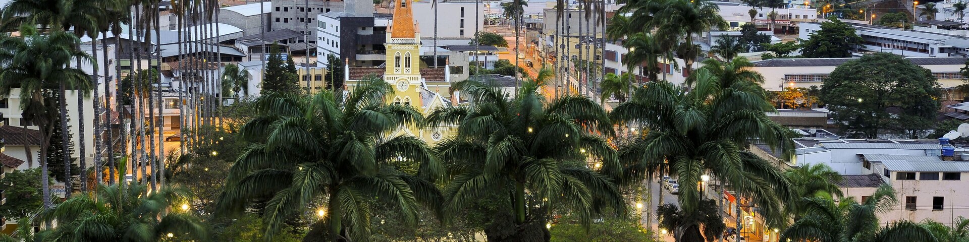 A cityscape with a prominent church steeple, palm trees, and residential buildings.