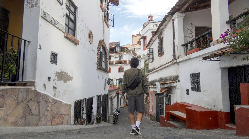 Ayotoxco de Guerrero