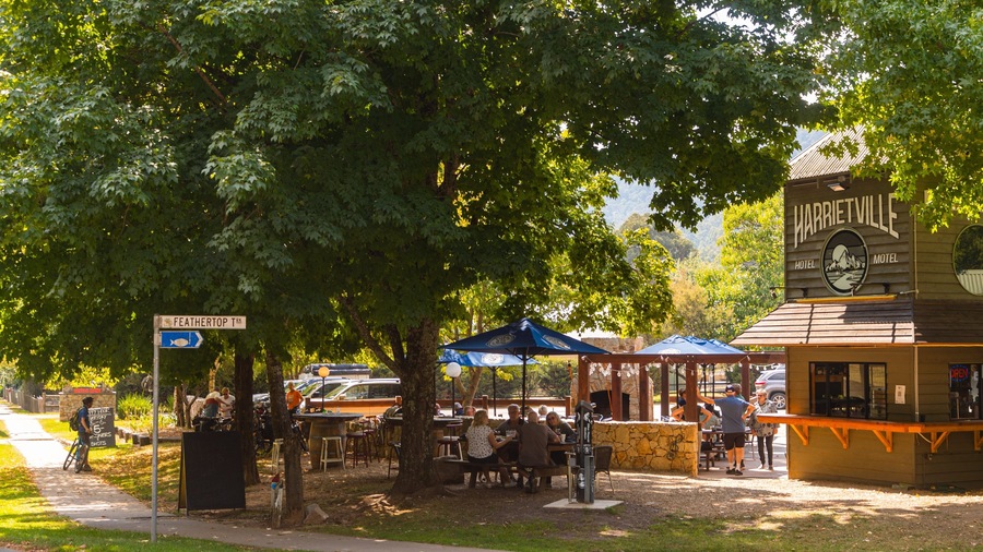 Un parque con mesas al aire libre, árboles y el Hotel y Motel Harrietville.