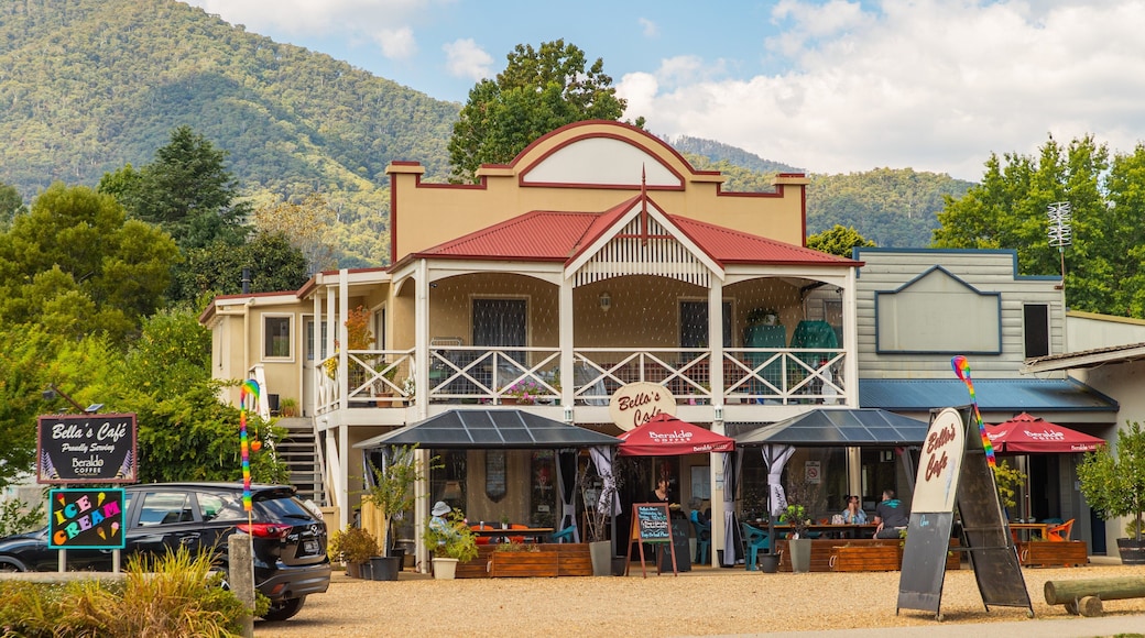 Harrietville featuring a small town or village