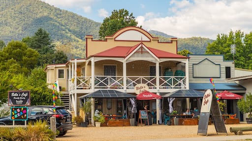 Harrietville featuring a small town or village