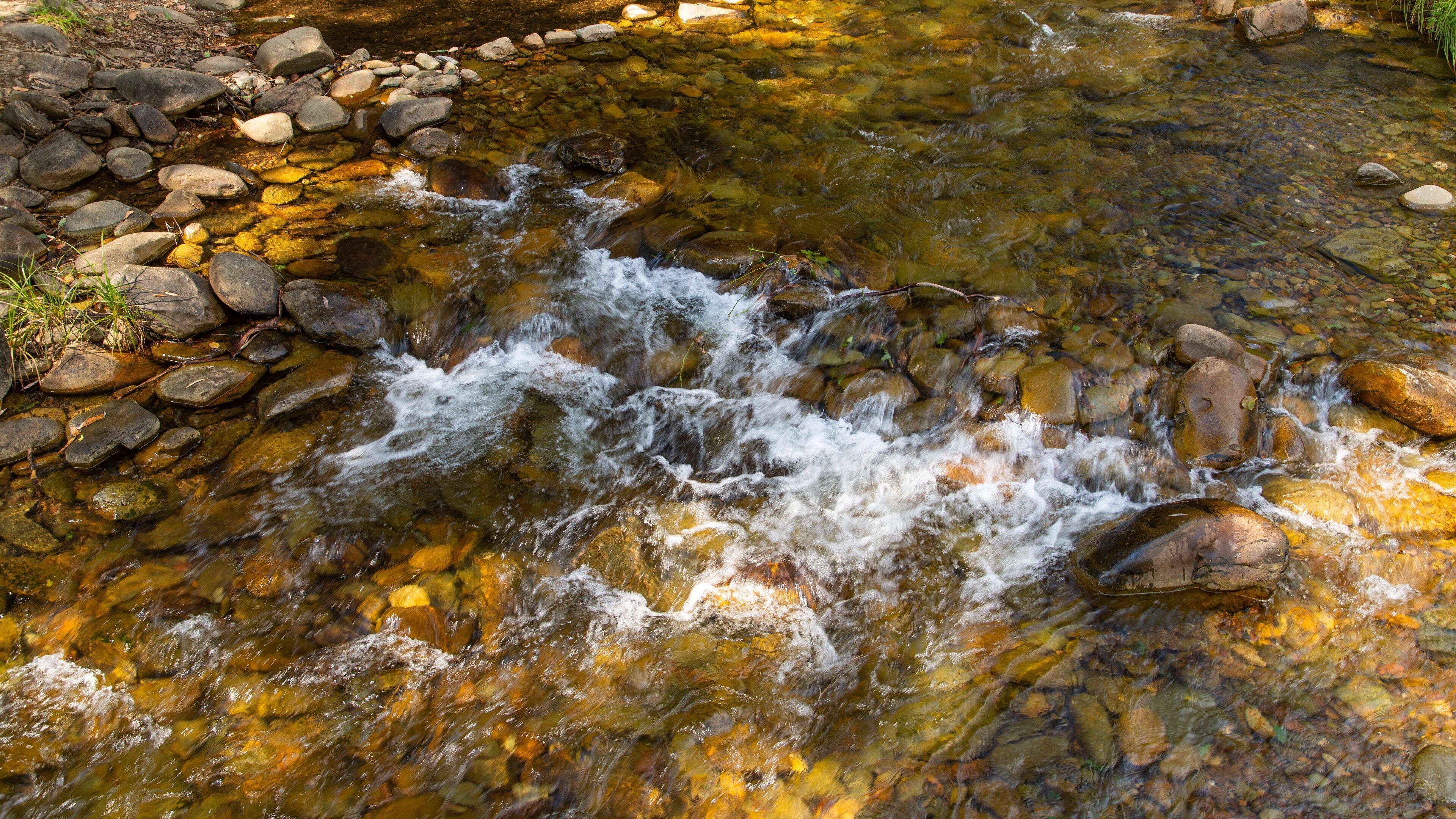 Harrietville featuring a river or creek