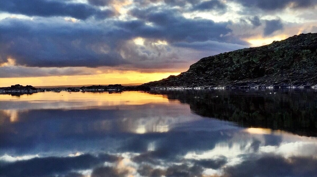 Puddles reflecting the mountains and sky #hiking #wanderlust