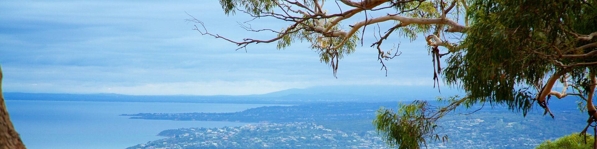 Melbourne montrant vues littorales et forĂȘts