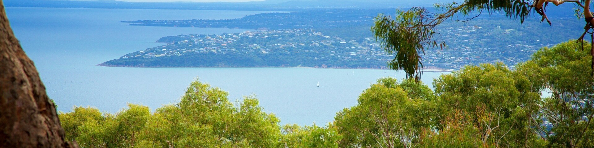 Melbourne which includes general coastal views and forest scenes