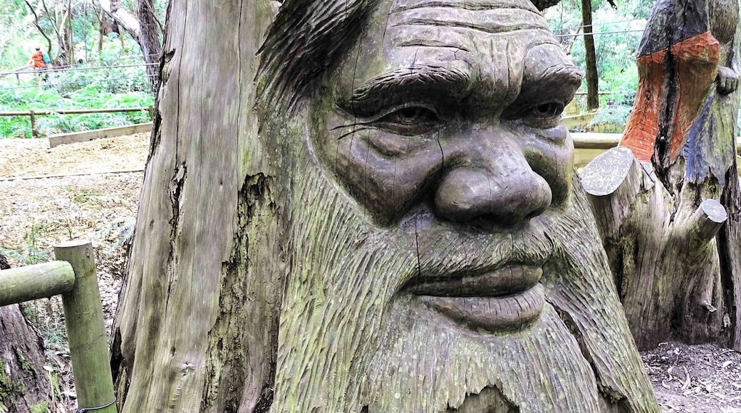The sculptures along the paths; they were skilfully carved out of cypress logs by Ken Blum, an artist in residence. Using chainsaws, axes and chisels Ken has revealed the faces of many of the indigenous people who once roamed the area.