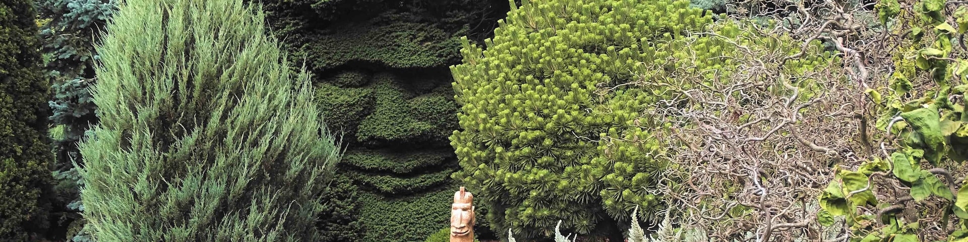 Some great tree sculptures seen throughout the garden and well maintained mazes