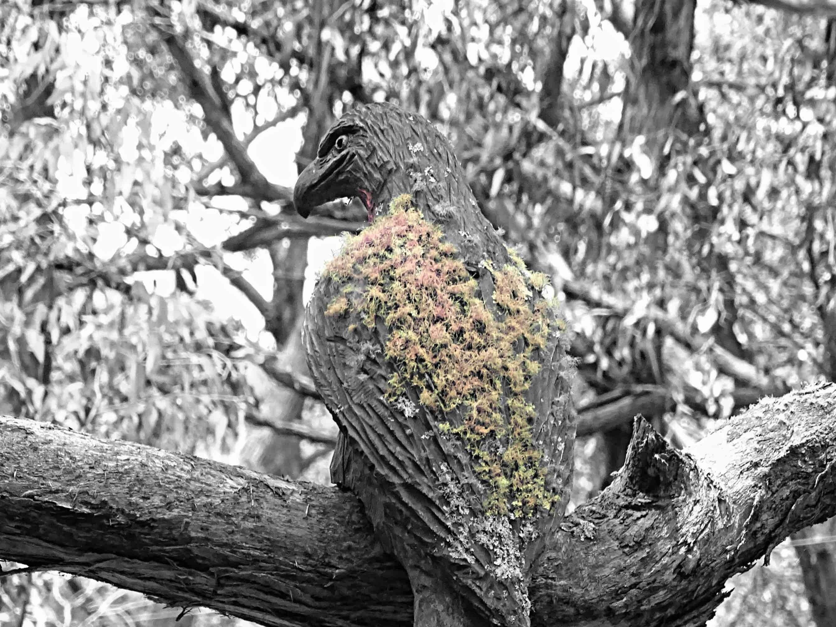 Another sculpture caught my eye while wandering in the park