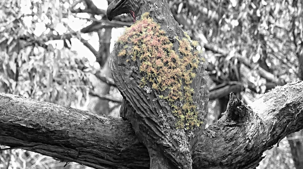 Another sculpture caught my eye while wandering in the park