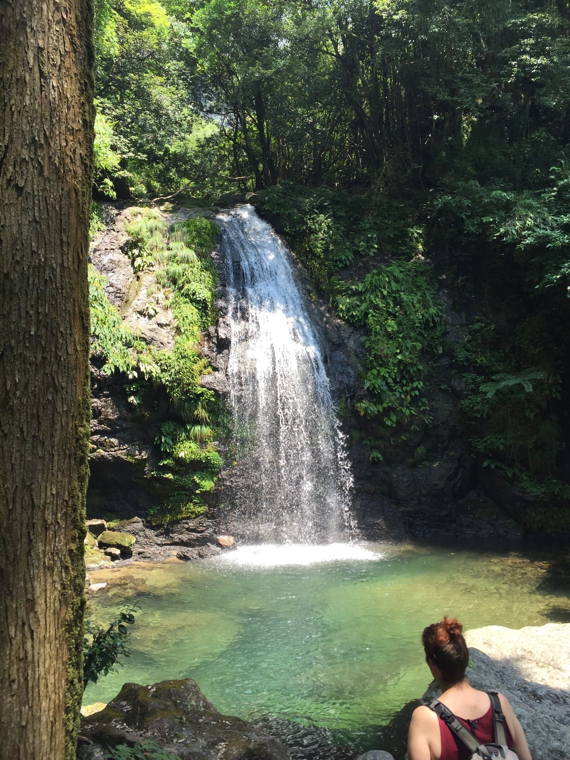 Tucked away in the sparsely populated mountains of Tokushima prefecture in Japan, you'll find beautiful water falls and swimming holes 