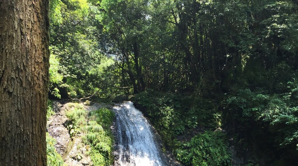 Tucked away in the sparsely populated mountains of Tokushima prefecture in Japan, you'll find beautiful water falls and swimming holes