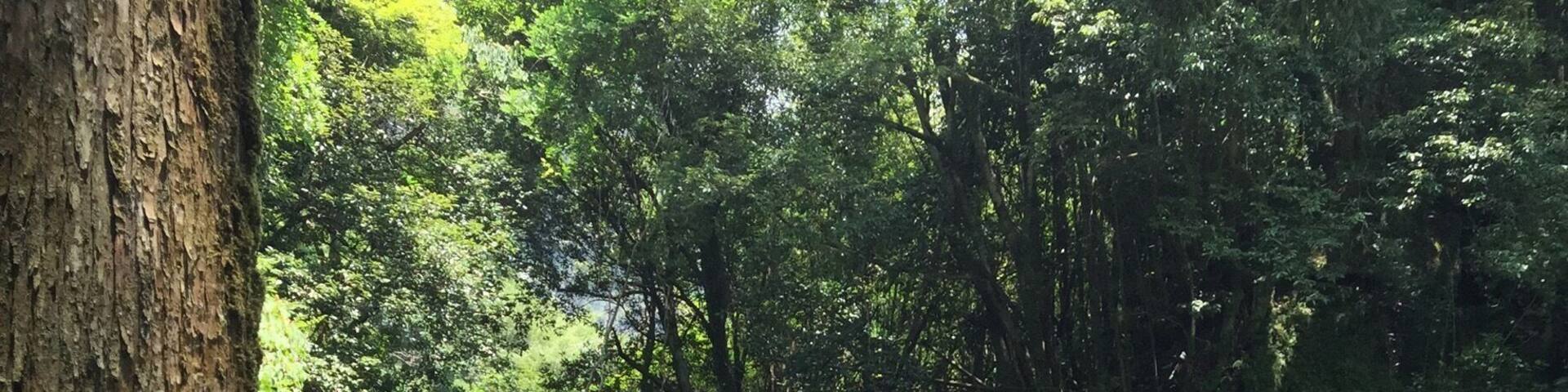 Tucked away in the sparsely populated mountains of Tokushima prefecture in Japan, you'll find beautiful water falls and swimming holes