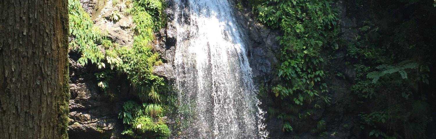 Tucked away in the sparsely populated mountains of Tokushima prefecture in Japan, you'll find beautiful water falls and swimming holes