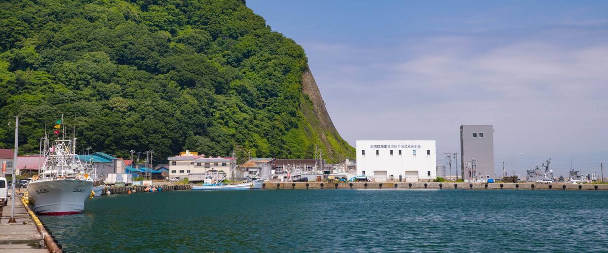 A coastal town with a large green hill, a marina with boats, and a white building with Chinese characters.