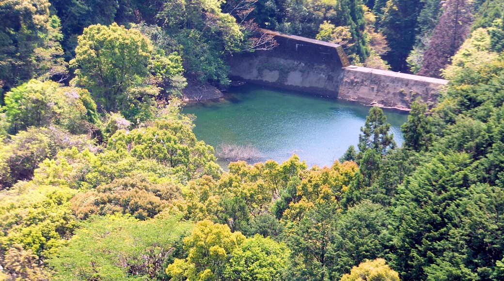 äœç°ćăźç éČăă