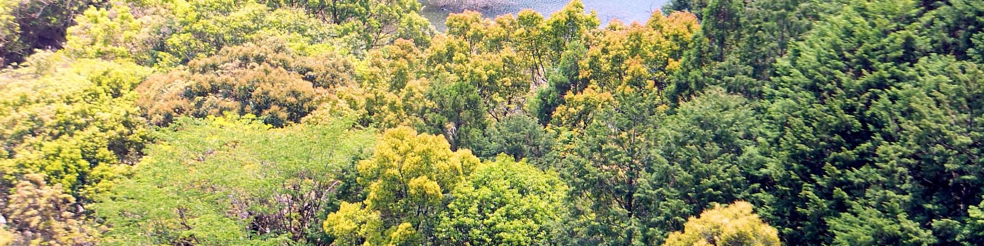 佐田坂の砂防ダム