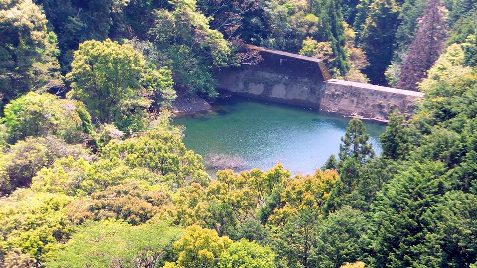 A natural landscape with a body of water, dense greenery, and a stone bridge.