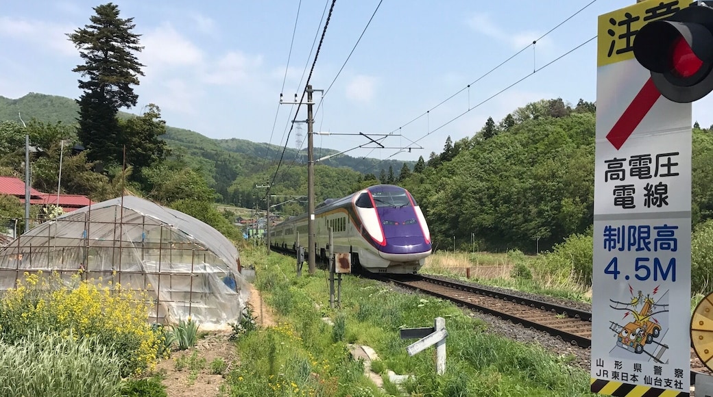 For train lovers. There's a lot of little stop off points with out of the way level crossings to see the Shinkonsen from Yamagata to Tokyo where the train runs along a single track line at a slow speed.