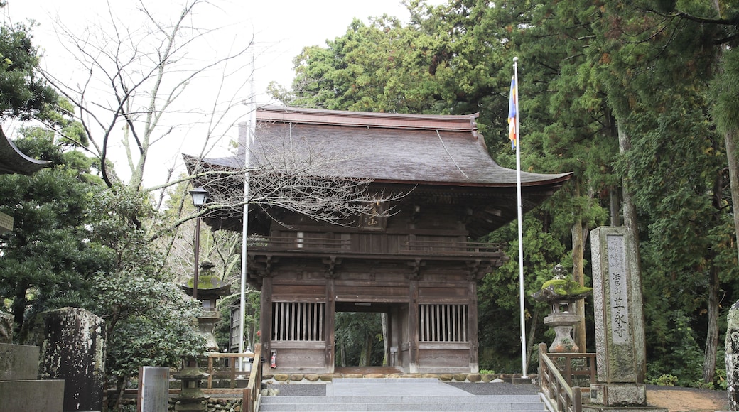 Hattasan, Soneiji, Shizuoka, Japan. The letters on the stone post say "Koyasan Shingonsyu, Bekkaku Honzan, Hattasan, Soneiji"