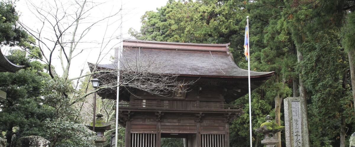A traditional Japanese gate with a stone pathway leading up to it, surrounded by trees and stone lanterns.