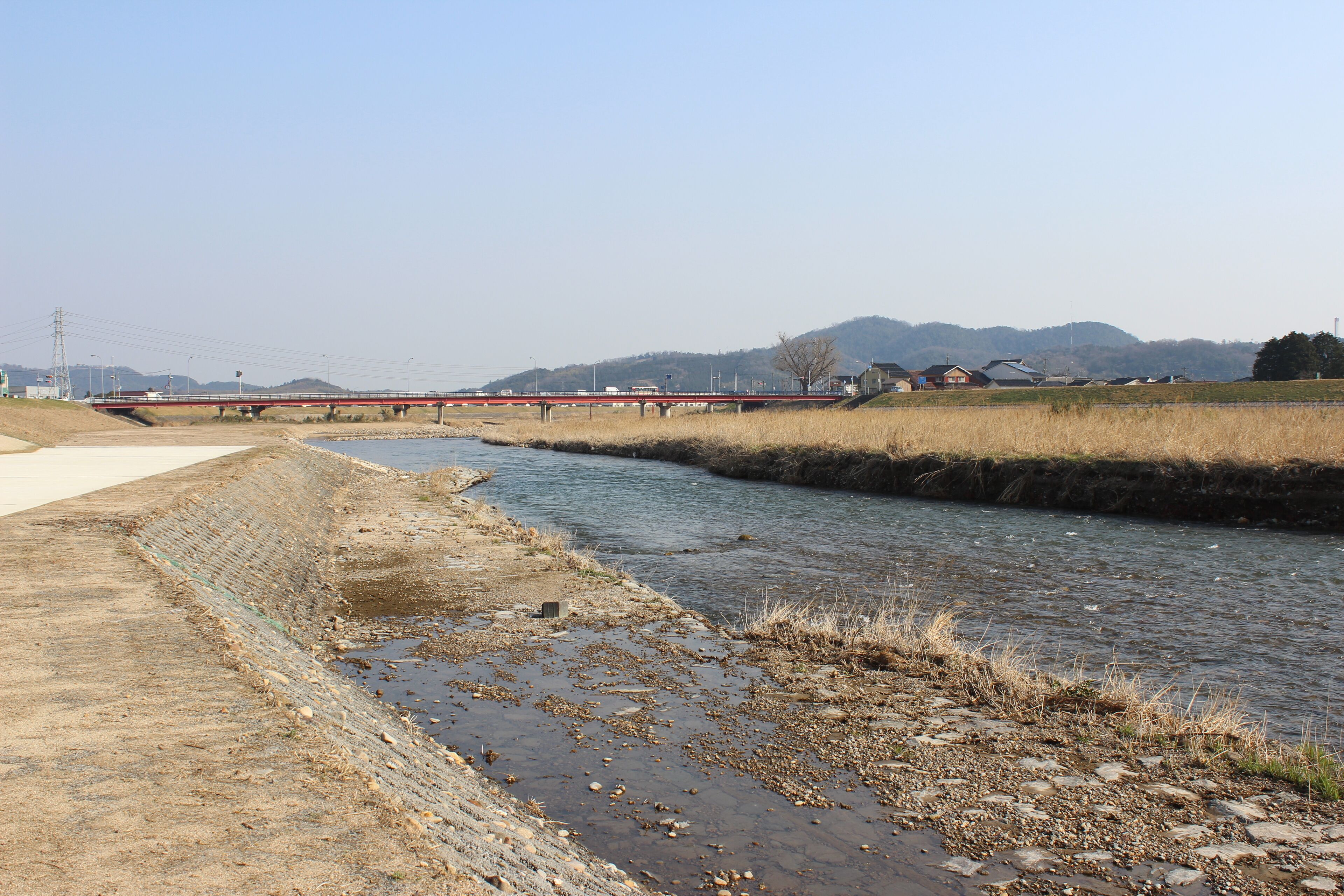 鳥取県倉吉市丸山付近。下流方向の小鴨橋を望む。