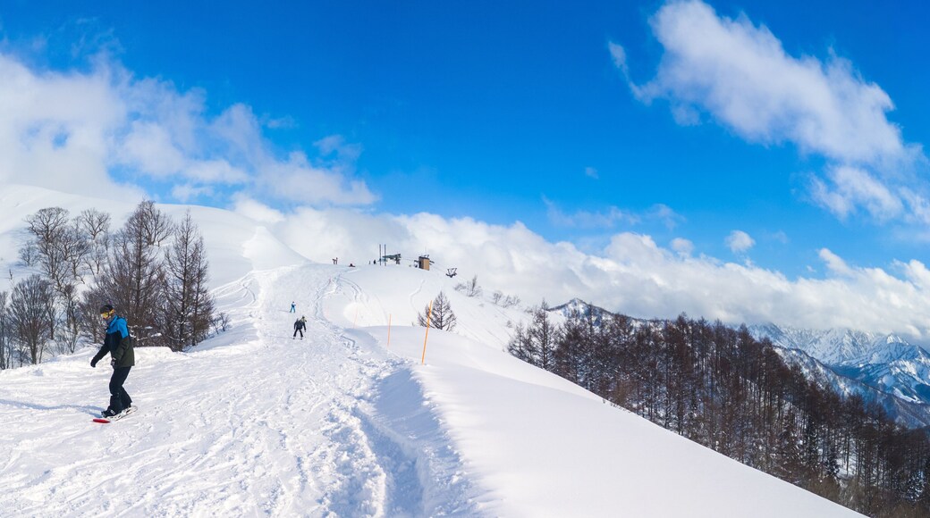 Panoramic view of the ski resort top showing the contrast between a tracked slope and fresh powder snow (Maiko, Minamiuonuma, Niigata, Japan)