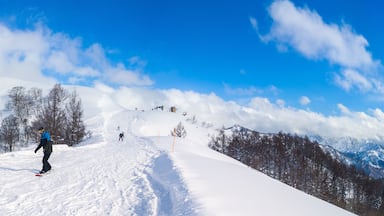 Panoramic view of the ski resort top showing the contrast between a tracked slope and fresh powder snow (Maiko, Minamiuonuma, Niigata, Japan)