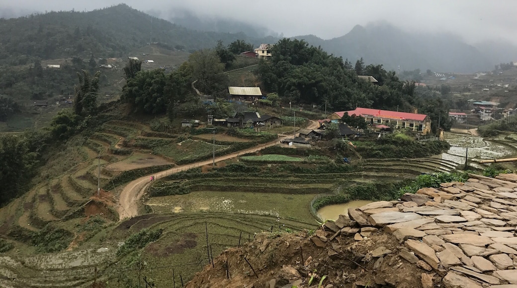It's one of the Village rice terrace. It's pretty to look at and I fell like time just stop for a moment.
