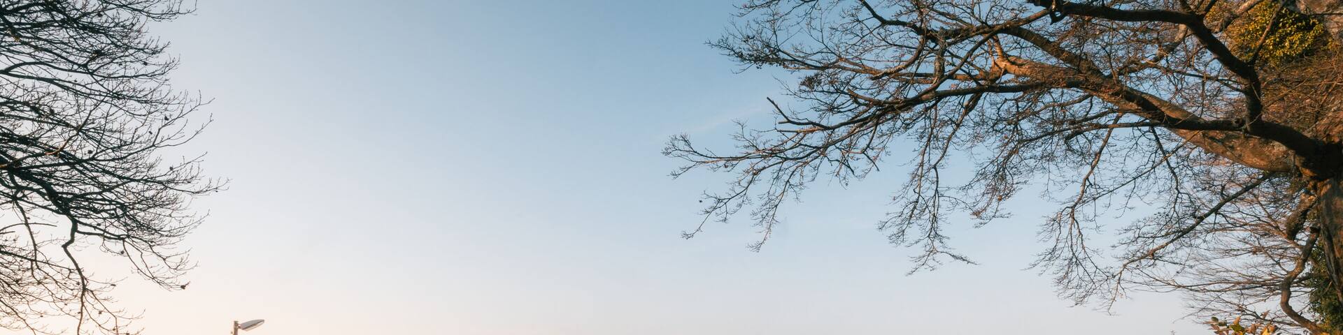 View of a Torii gate standing majestically against the backdrop of the sea and clear blue sky, framed by bare tree branches, Kanonji, Kagawa, Japan.
