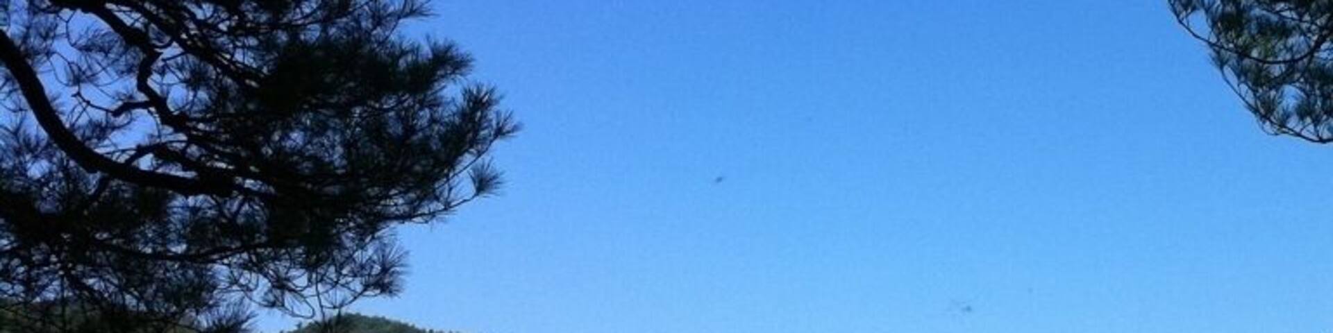 Adachi museum of arts. Having coffee with this view.