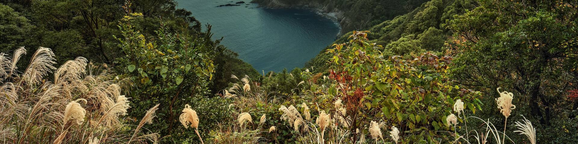 the Pacific Ocean view from Anan Seaside Road