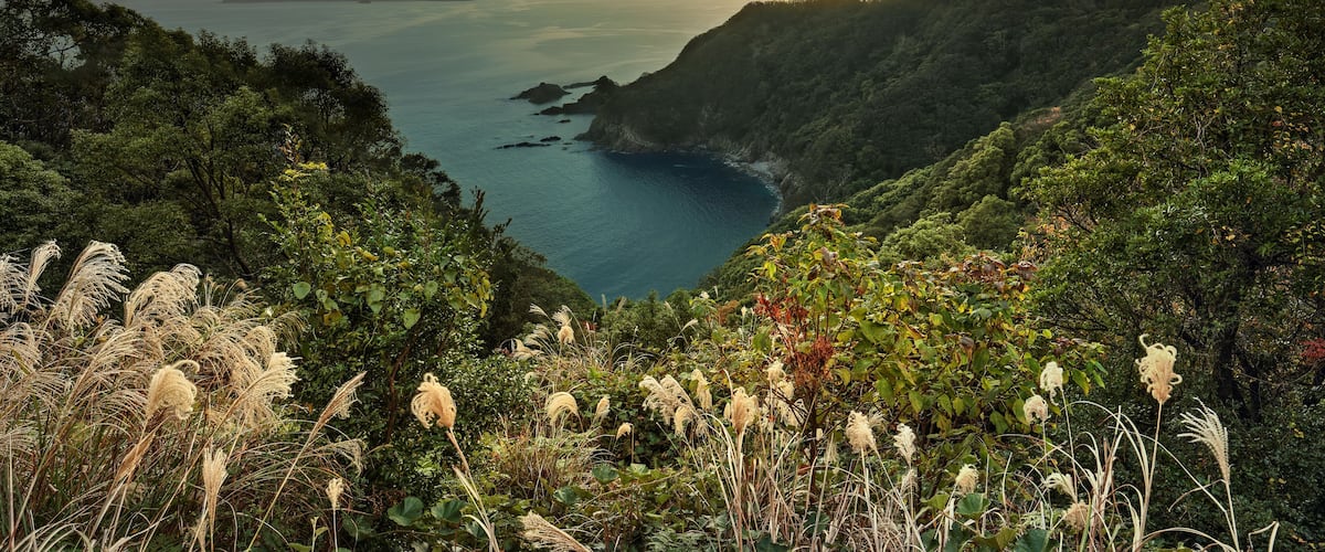 A coastal landscape with lush greenery, a clear view of the sea, and distant islands.
