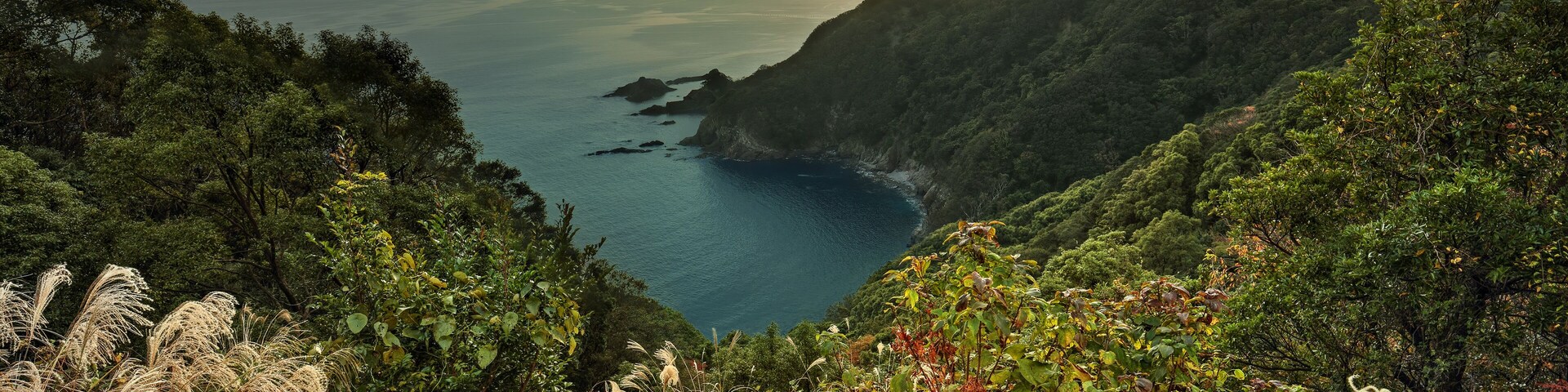 A coastal landscape with lush greenery, a clear view of the sea, and distant islands.