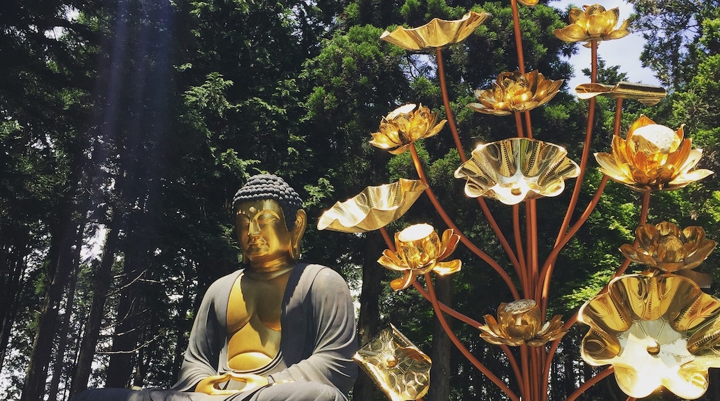 On top of Minobusan. Take the rope way up! It's beautiful. On a clear day you can see Fujisan.