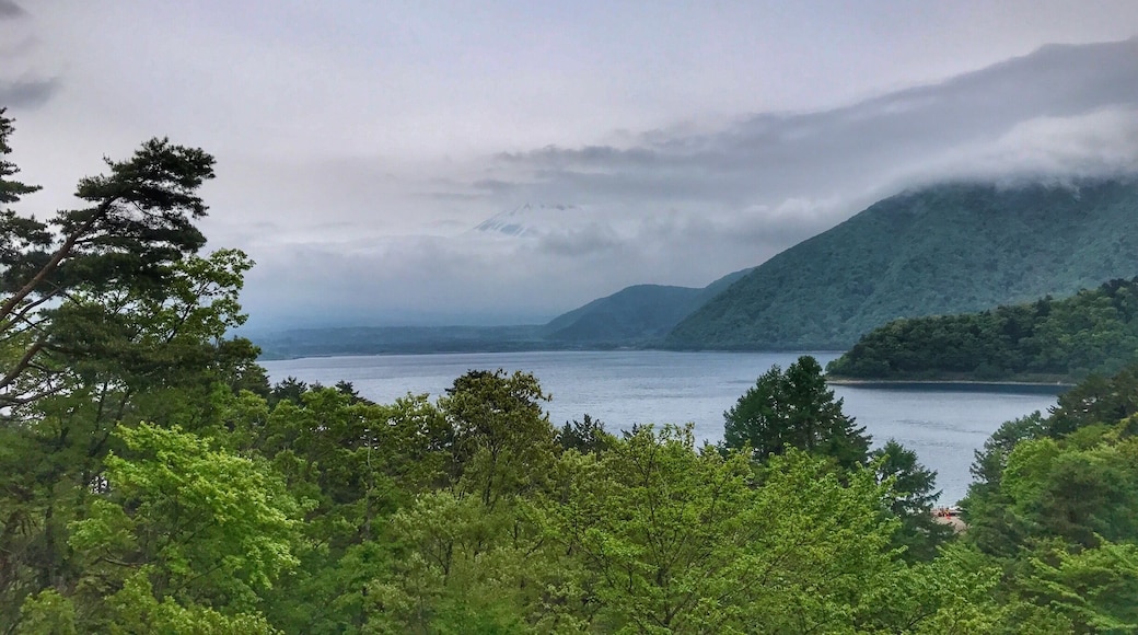 My family went their to find some view in the bank note of the 100yen bank note but Mt.Fuji so shy. 😊😊