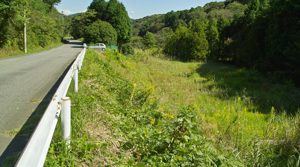 深溝(ふこうず)断層01 (Fukôzu Fault 01)