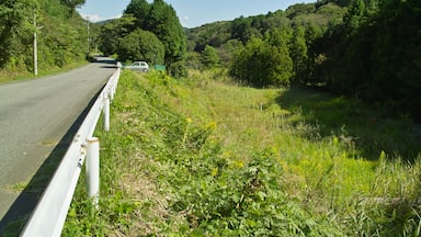 深溝(ふこうず)断層01 (Fukôzu Fault 01)