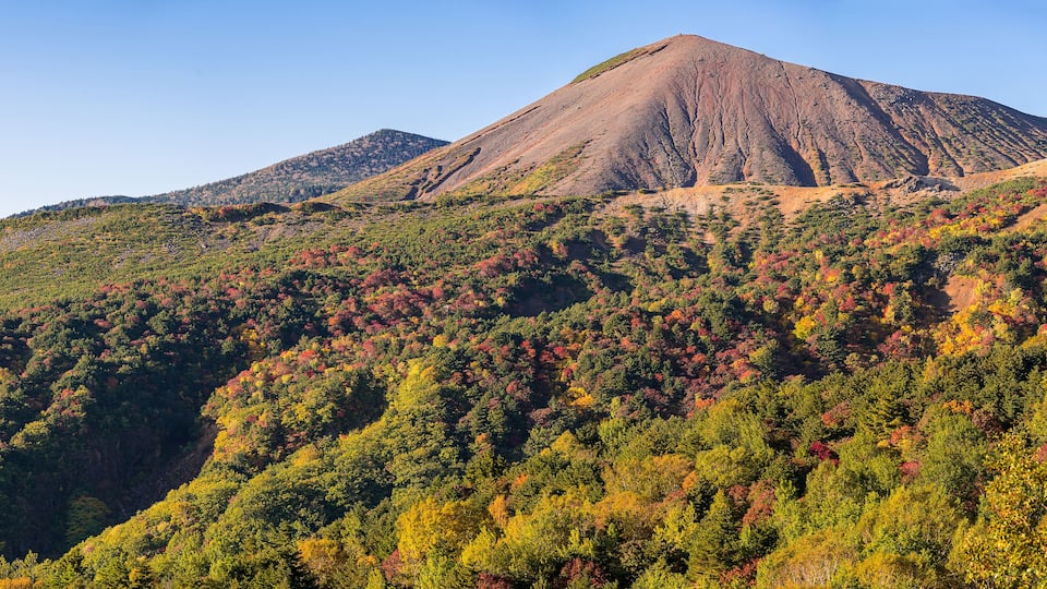 A mountain with a forested slope and a clear sky.