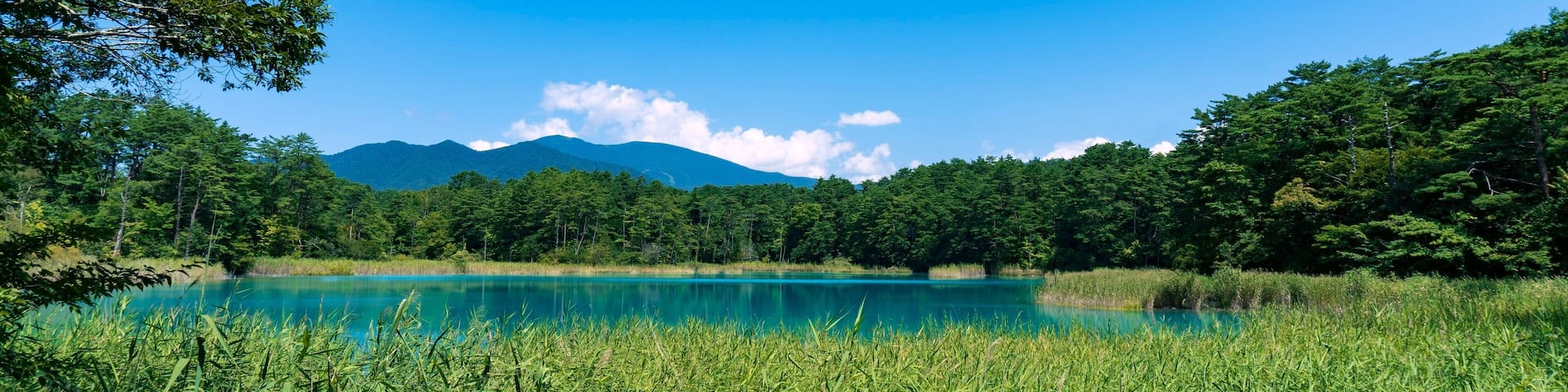 【裏磐梯・五色沼】簗部山と西吾妻山を背景にした弁天沼/磐梯朝日国立公園(福島県)