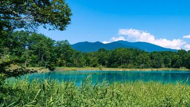 【裏磐梯・五色沼】簗部山と西吾妻山を背景にした弁天沼/磐梯朝日国立公園(福島県)
