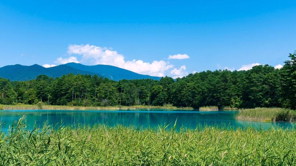 A turquoise lake surrounded by lush greenery and mountains in the background.