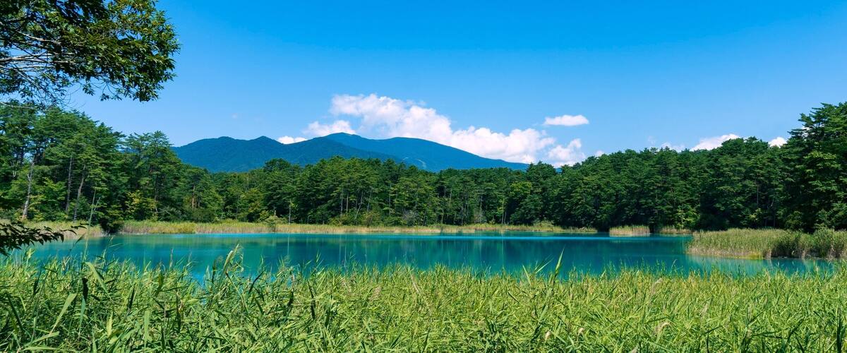 A turquoise lake surrounded by lush greenery and mountains in the background.