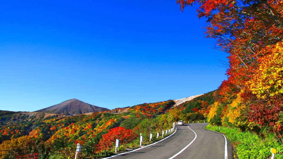 A winding road with autumn foliage, a mountain in the background, and a clear blue sky.
